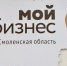 центр «Мой бизнес» посетил районы Смоленской области с выездными семинарами - фото - 1 - Велижский район