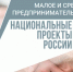 доступные меры поддержки для МСП в рамках нацпроекта - фото - 1 - Велижский район