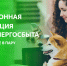 передавать показания через цифровые сервисы АтомЭнергоСбыта – быстро и безопасно - фото - 1 - Велижский район