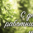 21 сентября – День работников леса - фото - 1 - Велижский район
