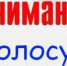 внимание , голосование - фото - 1 - Велижский район