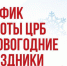 режим работы Велижской ЦРБ в новогодние праздники 2026 - фото - 1 - Велижский район