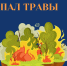 осторожно: пал травы - фото - 6 - Велижский район