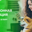 электронную квитанцию получил – через цифровые сервисы оплатил - фото - 1 - Велижский район